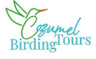 Cozumel Birding Tours